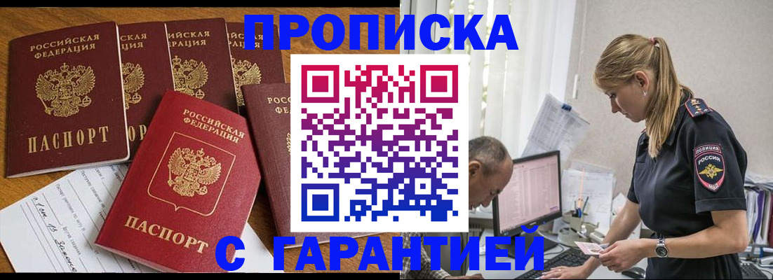 прописка поиск в Камышине